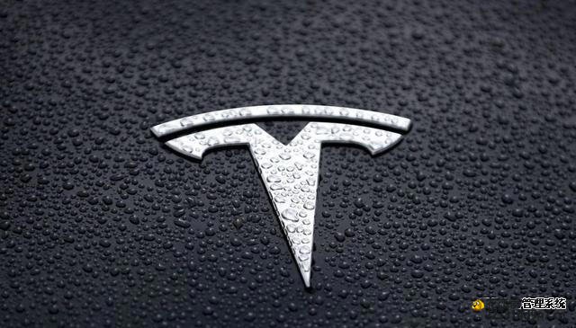 “啥都没有”的特斯拉，为啥大厂程序员都爱买