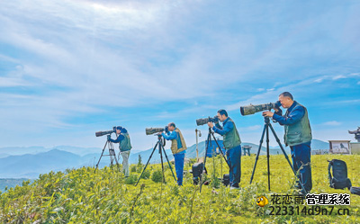 广东赵伯今年三赴湖南蓝山观鸟