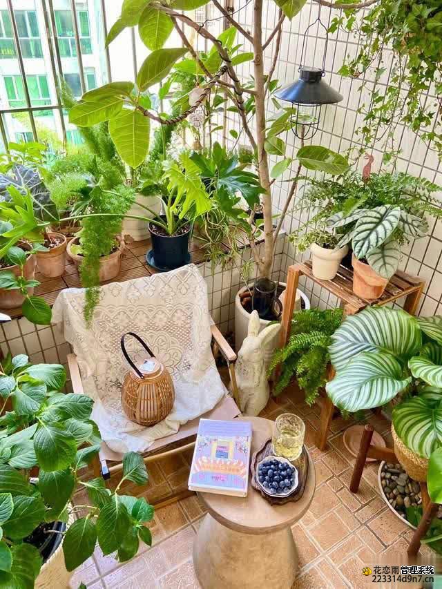 养花10年经验：这8种花花期长又美，越养越上瘾